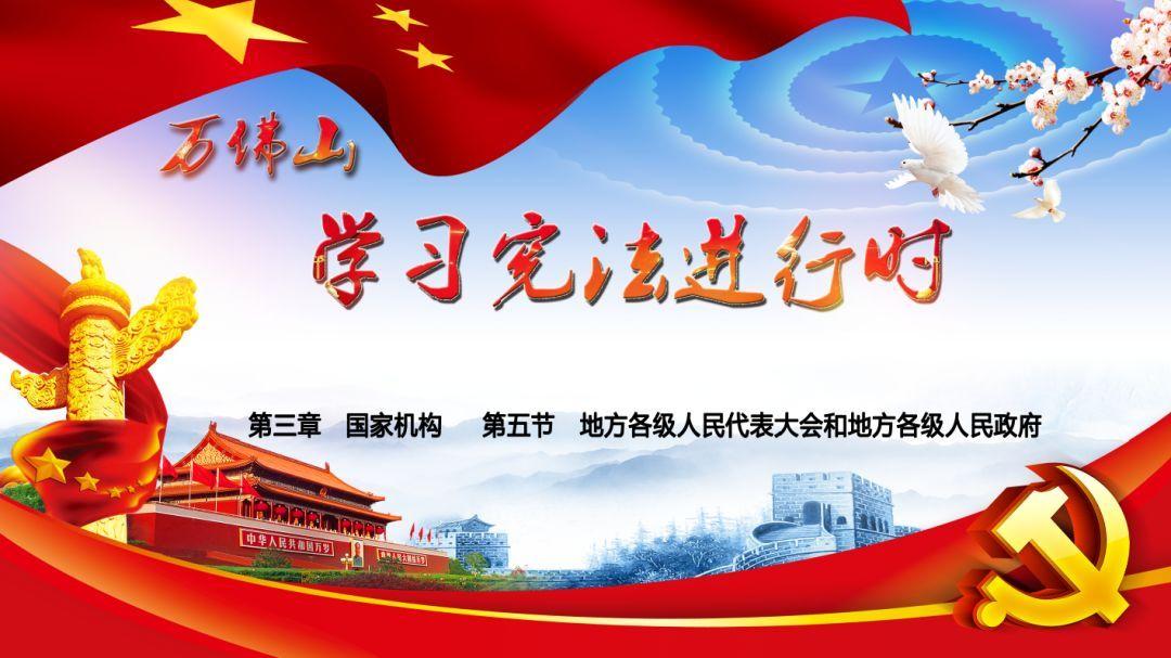 救援呆萌的猫